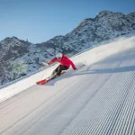 Alpen Nest *