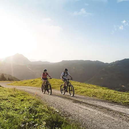 Alpennest Kirchberg -ruhige Lage In Den Alpen