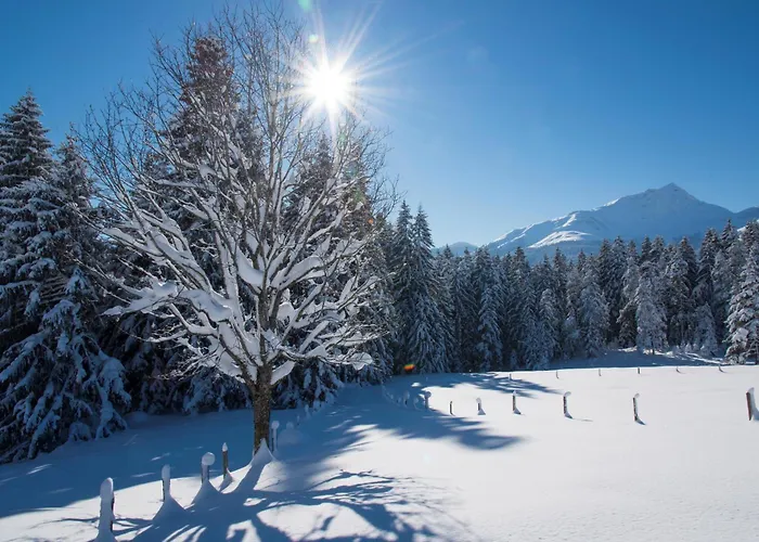 Alpen Nest Lejlighed Kirchberg in Tirol