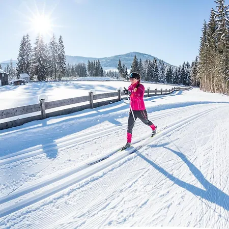 Alpennest Kirchberg -Ruhige Lage In Den Alpen *