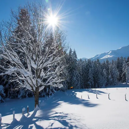 Alpen Nest Appartement Kirchberg en Tyrol